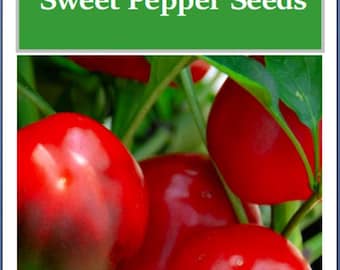 Red Cherry Sweet Pepper Seeds | NON-GMO | Heirloom | Fresh Garden Seeds