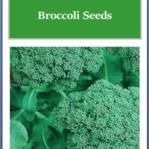 May include: Image of a seed packet for Waltham 29 Broccoli Seeds. The packet has a green background with white text. The image shows a close-up of fresh broccoli florets and leaves.