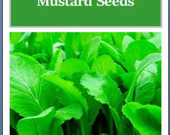 Florida Broadleaf Mustard Seeds: Non-GMO Heirloom Garden Seed