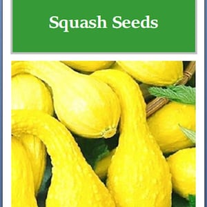 May include: Close-up of a pile of bright yellow crookneck squash. The squash are arranged in a basket and have a slightly bumpy texture. The text "Crookneck Yellow Squash Seeds" is displayed above the image.