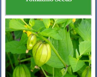 Tomatillo Seeds | Grande Rio Verde | NON-GMO | Heirloom | Fresh Garden Seeds