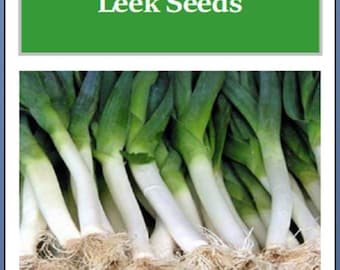 Carantan Leek Seeds: Heirloom, Non-GMO Garden Seeds