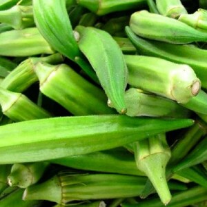 Emerald Okra Seeds | NON-GMO Okra Seeds | Fresh Heirloom Garden Seeds