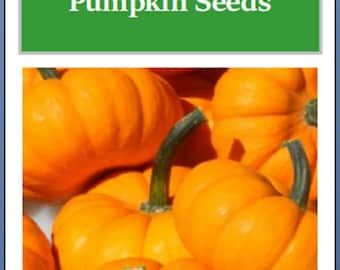 Jack Be Little Pumpkin Seeds: Heirloom Non-GMO Garden Seeds