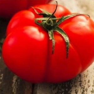 Beefsteak Tomato Seeds for Planting Heirloom Tomato Seed Fresh NON-GMO Vegetable Seeds