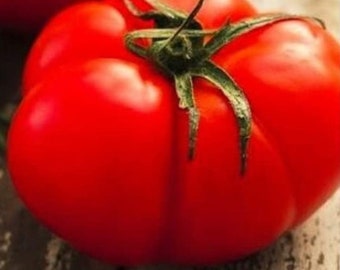 Beefsteak Tomato Seeds | NON-GMO | Heirloom | Fresh Garden Seeds
