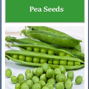 Cascadia Pea Seeds: Heirloom, NON-GMO Garden Seeds