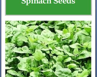 Giant Noble Spinach Seeds | NON-GMO | Heirloom | Fresh Garden Seeds