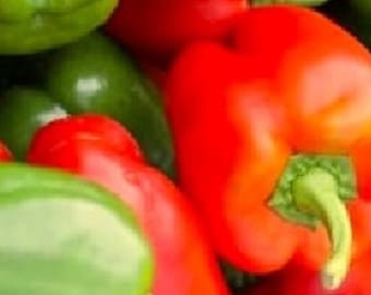 California Wonder Bell Pepper Seeds | NON-GMO Pepper Seeds | Heirloom Seeds