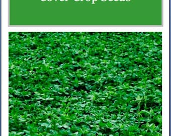 Alfalfa Cover Crop Seeds: Non-GMO Heirloom Garden Seeds