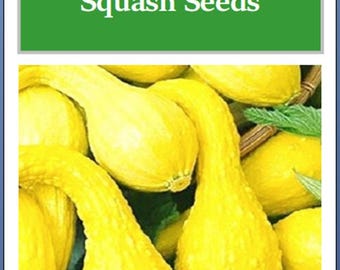 Crookneck Yellow Squash Seeds: Heirloom Non-GMO Garden Seeds