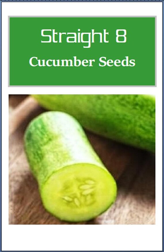 Straight Eight Cucumber Seeds - 50 Seeds, NON-GMO, Heirloom Vegetable For Garden