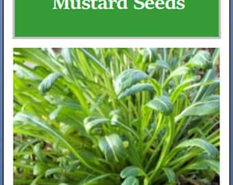 May include: Image of Mibuna Mustard Seeds. The image features a vibrant green plant with long, slender leaves. The text "Mibuna Mustard Seeds" is displayed in white letters on a green background, indicating the product's name.