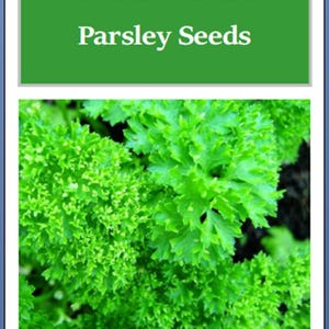 May include: Close-up of a bunch of bright green parsley leaves. The text "Forest Green Parsley Seeds" is displayed on a green banner above the parsley.