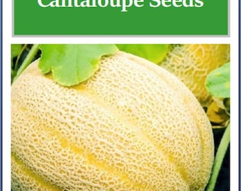 Hales Jumbo Cantaloupe Seeds: Heirloom, Non-GMO