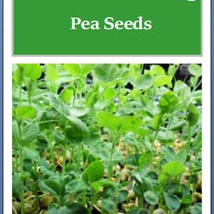 Speckled Pea Seeds | Sprouting Peas | NON-GMO | Heirloom | Fresh Garden Seeds
