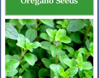 Greek Oregano Seeds | NON-GMO | Heirloom | Fresh Garden Seeds