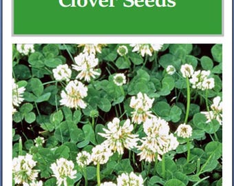 White Dutch Clover Cover Crop Seeds | NON-GMO | Heirloom | Fresh Flower Seeds