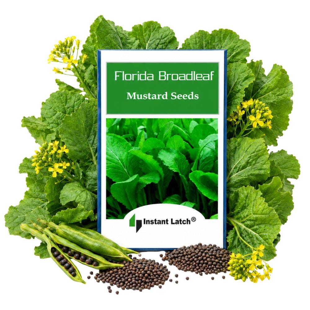 Florida Broadleaf Mustard Seeds: Non-gmo Heirloom Garden Seed - Etsy