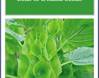 Bells of Ireland Seeds: Heirloom Molucella Laevis, Non-GMO