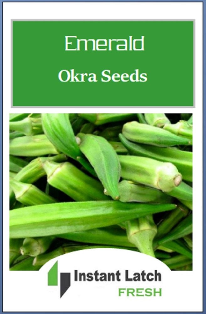 Semillas de okra esmeralda / NONGMO / Heirloom / Fresh Garden Etsy