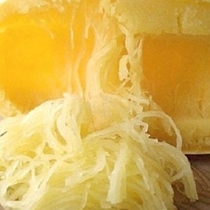 Spaghetti Squash Seeds | NON-GMO Squash Seeds | Fresh Heirloom Garden Seeds