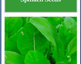 Tendergreen Mustard Spinach Seeds: Non-GMO Heirloom Garden Seeds