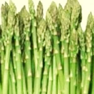 Mary Washington Asparagus Seeds: Heirloom Non-GMO Garden Seeds