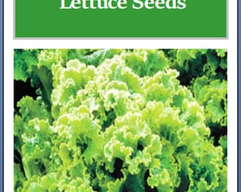 Green Ice Leaf Lettuce Seeds | NON-GMO | Heirloom | Fresh Garden Seeds