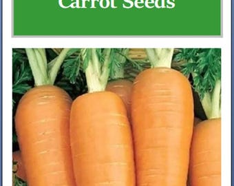 Danvers Carrot Seeds: Heirloom Non-GMO Vegetable Seeds