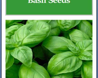 Genovese Basil Seeds: Fresh Heirloom, Non-GMO Garden Seeds