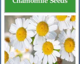 German Chamomile Seeds | NON-GMO | Heirloom | Fresh Garden Seeds