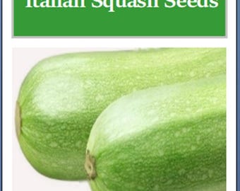 Italian Squash Zucchini Seeds | NON-GMO | Heirloom | Fresh Garden Seeds