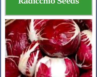 Radicchio Seeds | Palla Rosa | Heirloom | Fresh Garden Seeds