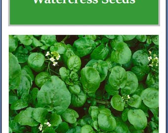 Watercress Cress Seeds | NON-GMO | Heirloom | Fresh Garden Seeds