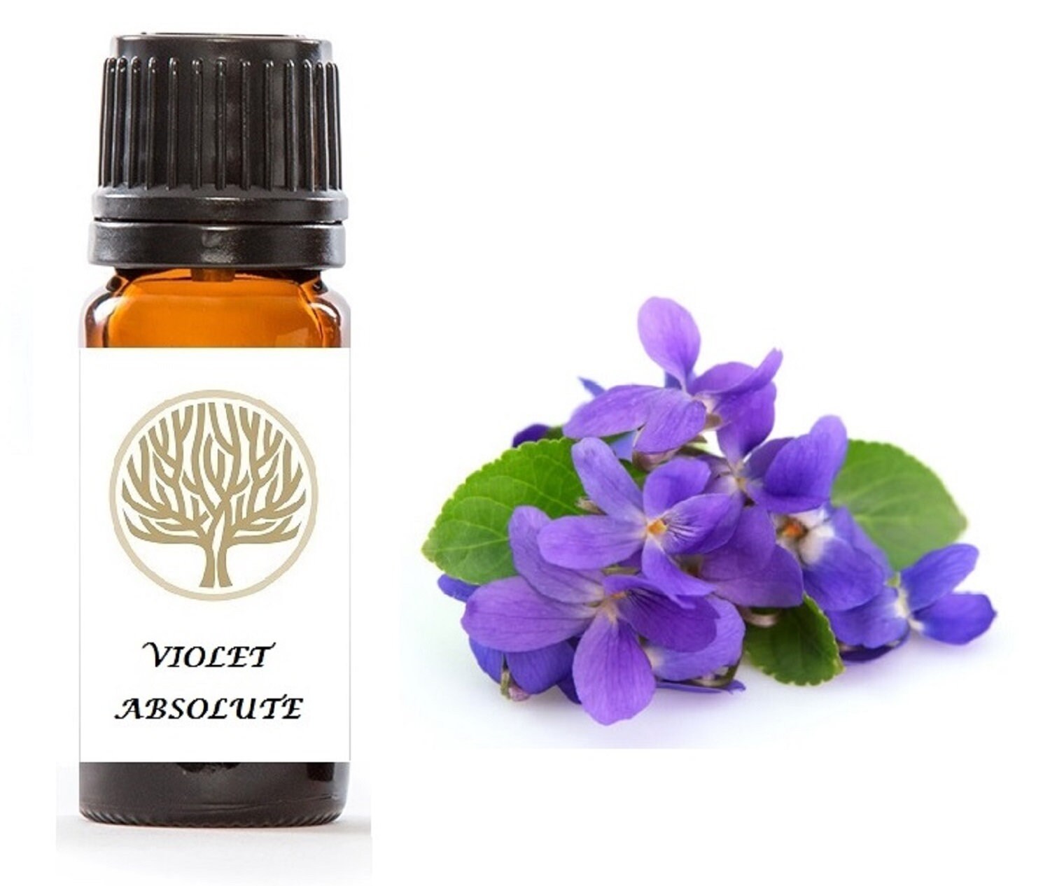 High Quality 100 Pure Violet Leaf Absolute Oil Use in Etsy UK