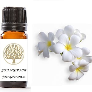 Può includere: Un piccolo flacone di vetro ambrato con un tappo nero, etichettato "FRANGIPANI FRAGRANCE". Il flacone è circondato da fiori di frangipane bianchi con centri gialli.