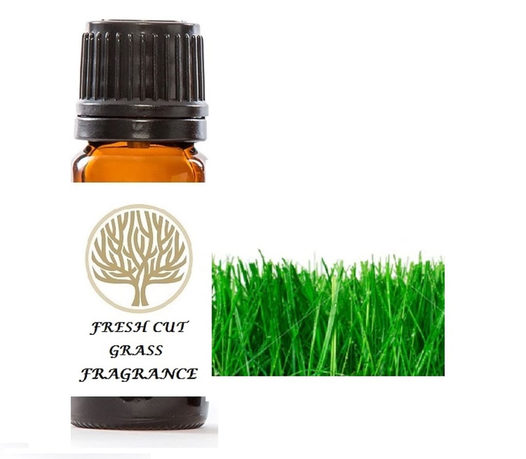 Ekoface FRESH CUT GRASS Fragrance Oils for Oil Burner Etsy UK