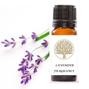 Può includere: Una bottiglia di vetro marrone con tappo nero ed etichetta bianca con la scritta "LAVENDER FRAGRANCE" e un logo ad albero. Sullo sfondo, rametti di fiori di lavanda viola con steli verdi.