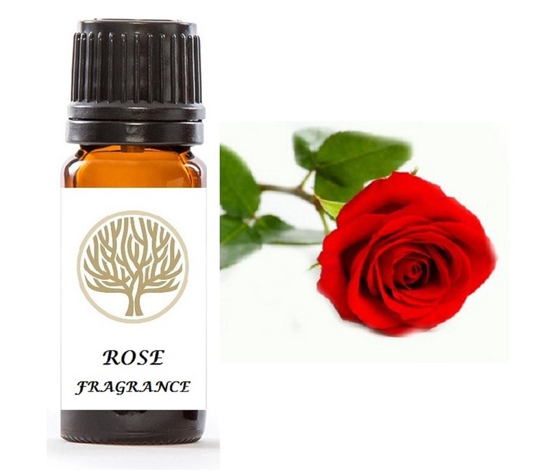 Ekoface ROSE Fragrance Oils for Oil Burner Potpourri Bath & Etsy