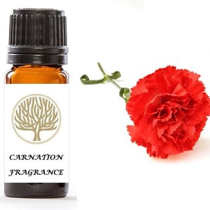 May include: A small amber glass bottle with a black cap, labeled "Carnation Fragrance". The bottle is next to a single red carnation.