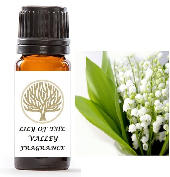 EkoFace LILY of the VALLEY Fragrance Oils for Oil Burner, Potpourri, Bath  Candle making 10ml Wax Melts Diffusers Christmas Gift
