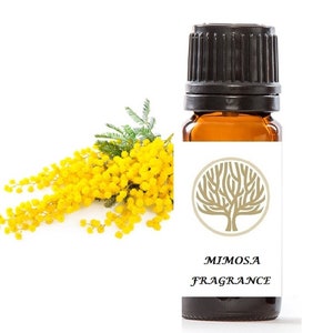 Può includere: Una piccola bottiglia di vetro ambrato con un tappo nero, riempita di olio profumato alla mimosa. La bottiglia ha un'etichetta bianca con un logo di albero dorato e il testo "MIMOSA FRAGRANCE". A sinistra della bottiglia è mostrato un rametto di fiori di mimosa con fiori gialli.