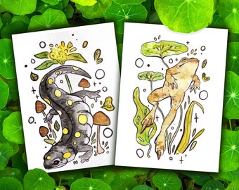 May include: Two watercolor art prints featuring whimsical illustrations of a salamander and a frog. The salamander is black with yellow spots, surrounded by mushrooms and foliage. The frog is tan, with green leaves and aquatic plants.