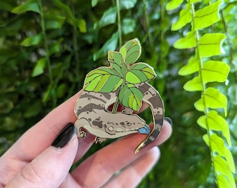 Blue Tongued Skink - Herpetoflora ii Enamel Pin Collection
