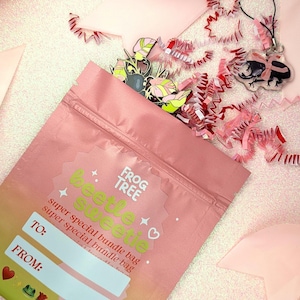 Pacote de bolsa superespecial Beetle Sweetie - presente de Dia dos Namorados de 2025 inclui pingente, broche e muito mais!