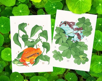 Nestled Print Bundle - 5x7" Ink Frog Art Prints