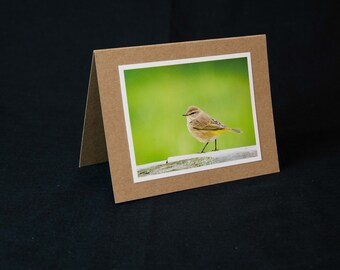 Bird Greeting Cards