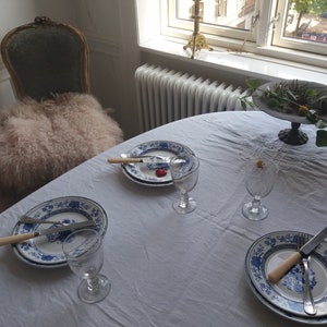 Two Antique Villeroy & Boch Dinner Plates