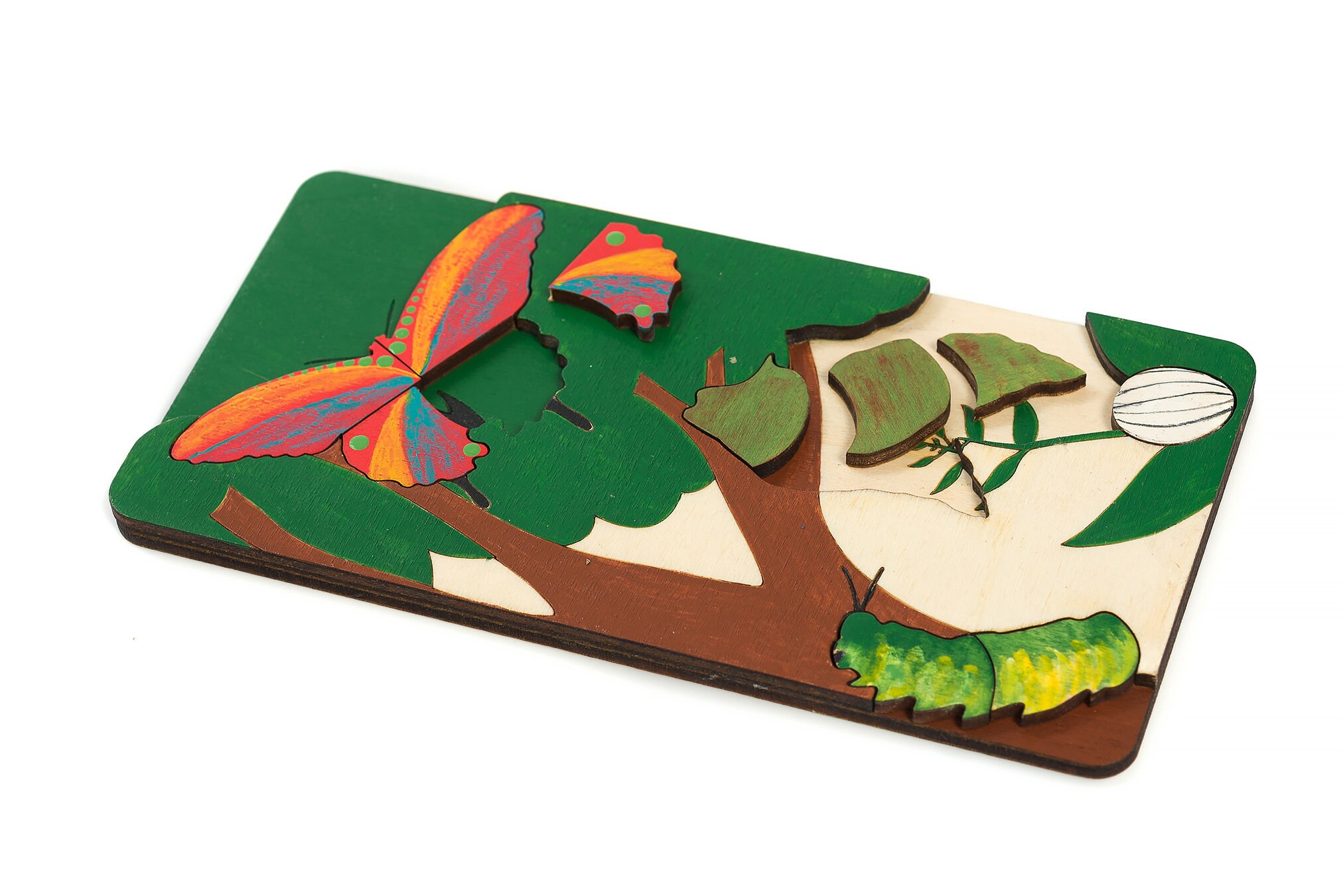 Lebenszyklus eines Schmetterlings Holzpuzzle, Lernen über die Natur, Montessori Naturwelt, Montessori Schule, Kleinkind Pädagogisches Spielzeug
